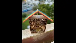 Tutorial para hacer una Casa de Bichos. #MovimientoHuertishi