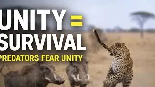 When We Stand Together: Unity Against the Predators in Human Activities