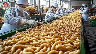 Inside the Shocking Process: Millions of Mealworms Turned into Instant Noodles