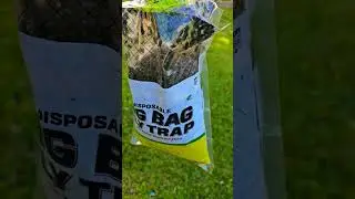 WHOA!!! 😱 DO THEY WORK?? BIG BAG FLY TRAPS! DAY 8 #shots #viral #youtubeshorts