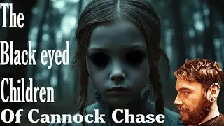 Never Camp In The Woods Again - The Black Eyed Children of Cannock Chase