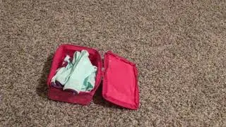 Me packing for Layla to go to Branson for spring break