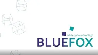 BlueFox - white space advantage