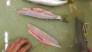 カマスをおろしてます～