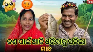  କଣ ପାଇଁ ଧରିବାକୁ ପଡିଲା ଆଜି ମାଛ / mr adee vlog #mahilamitra #mradee 