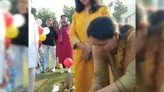 CD International School