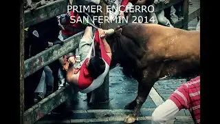 Primer Encierro San Ferm&iacute;n 2014/ Torrestrella
