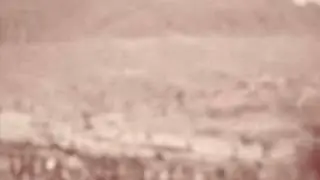 Cowboy's Lament