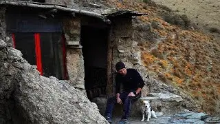 One Night in a Hidden Cabin with My Dog | Mountain Camping Adventure