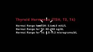 Navigating Lab Values | Understanding Normal Ranges