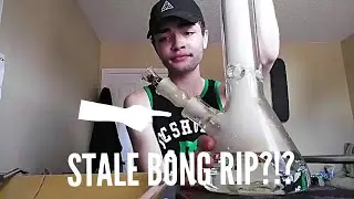 STALE BONG RIP?!?!