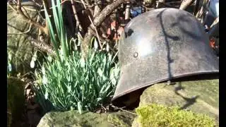 snowdrops in my garden