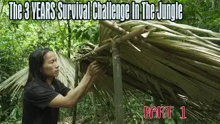 COMPILATION VIDEO: The 3 YEARS Survival Challenge In The Jungle: part 1