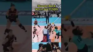 Monster Block MEGA dan EUNJIN