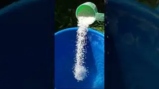 ASMR: How to Treat Cloudy Pool Water 💧 | Complete Step-by-Step Cleaning Until It&rsquo;s Crystal Clear