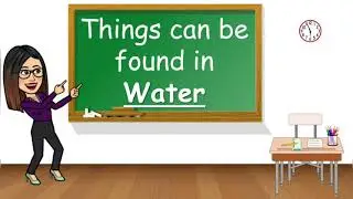 Things can be found in Water