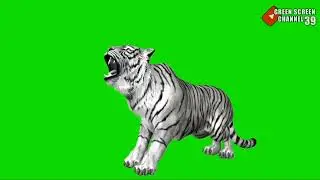 green screen harimau @green screen channel39