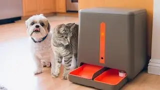 Useful Gadgets For The Pet Lover !