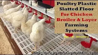 Poultry Plastic slatted flooring for broiler chicken farming
