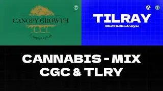 🌱 Cannabis Aktien im Fokus: Tilray explodiert, Canopy Growth z&ouml;gert! Aktienanalyse - CGC - TLRY
