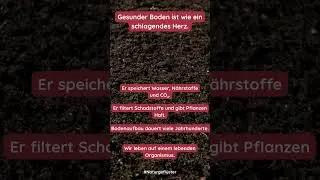 Bodenleben und Mikroorganismen