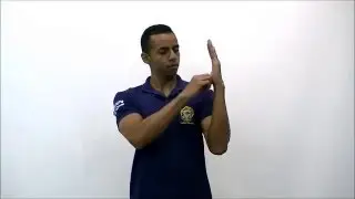 Substância cinzenta