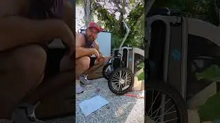 Прицеп для перевозки животных Lectric E-Bikes Wag-Along #собака #электрический #ebike #веселье #Ф...