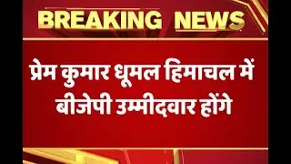Himachal Pradesh Assembly Elections: Prem kumar dhumal to be BJP's CM candidate