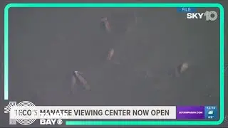 TECO's Manatee Viewing Center now open to public