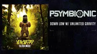 Psymbionic & Unlimited Gravity - Down Low