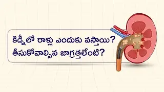కిడ్నీలో రాళ్లు ఎందుకు వస్తాయి? తీసుకోవాల్సిన జాగ్రత్తలేంటి? | డా. వి సురేష్ బాబు