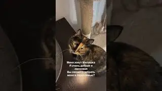 Доставка в другие города г.Саранск Связаться можно через смс +79271880201 телеграмм/вотсап