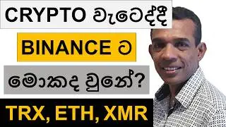 CRYPTO වැටෙද්දී BINANCE ට මොකද වුනේ? | TRX, ETH, ZEC AND XMR | BITCOIN