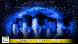 Animal X - Star Collision [NEW SINGLE]