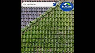 what is roof algae? | Elevate roofing and exteriors