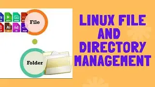 Linux File and Directory Management in shell scripting like (Copy file, remove file) #linux #shells