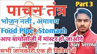 पाचन तंत्र (भोजन नली और अमाशय ) Digestive System ( Oesophagus and Stomach )by Ajay Verma #biology
