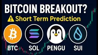 Pengu usdt | PENGU (Pengu)