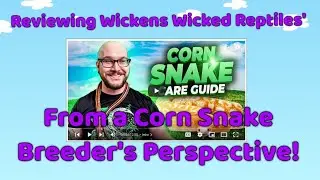 WWR's Corn Snake Care Guide REVIEW!