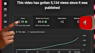 Сколько YouTube заплатил мне за 5000 просмотров (сумасшедший RPM!)