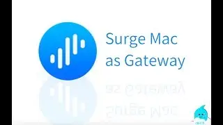 Surge Mac 2 网关模式新手教程 surge as gateway