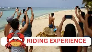 How to Ride a Crab ? #crabs #bohol #philippines