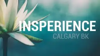 PUBLIC English: Insperience (28 January 2026)