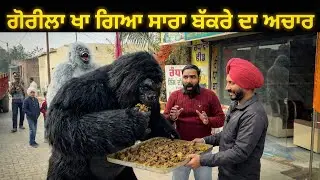ਗੋਰੀਲਾ ਖਾ ਗਿਆ ਸਾਰਾ ਬੱਕਰੇ ਦਾ ਅਚਾਰ । Randhawa Bakre Da #mutton