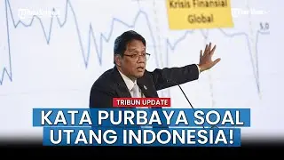 TRIBUN DEEP TALK: Menteri Keuangan Purbaya Yudhi Sadewa Sesumbar Utang Indonesia Rp9.138 T Aman!