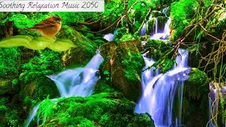 Relaxing Music with Nature sounds,rain,piano music 2050