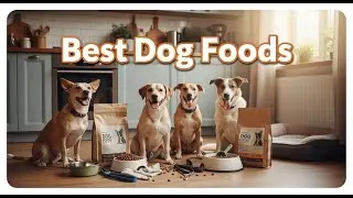 TOP 5 Best Dog Foods 2025 | This Dog Food Changed My Pet&rsquo;s Life