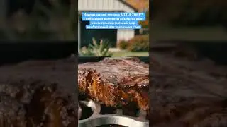 ❤️&zwj;🔥SIZZLE ZONE&trade;  #нагриле #рецепт #napoleongrill #bbq #grill #рецепты