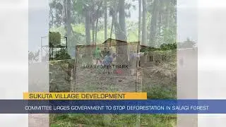 Sukuta Village Development Committee Urges Government to Stop Deforestation in Salagi Forest