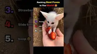 Ranking Best Fox Moments EVER 😲😲